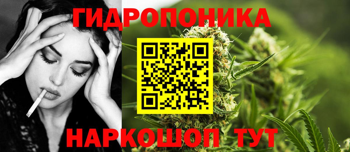 Марихуана AK-47  Вход с VPN  МАРИХУАНА планчик  Тамбов  Канабис сатива 