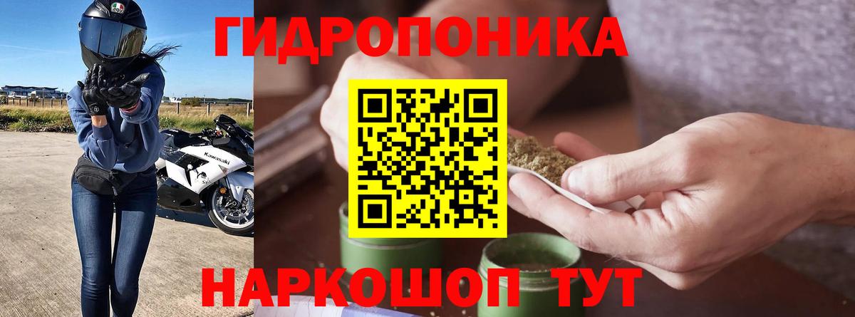 Бошки марихуана VHQ Тамбов
